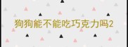 狗狗能不能吃巧克力吗