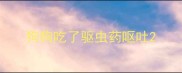 狗狗吃了驱虫药呕吐
