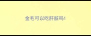 金毛可以吃肝脏吗