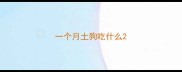一个月土狗吃什么