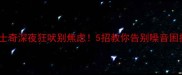 哈士奇深夜狂吠别焦虑5招教你告别噪音困扰