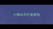 小狗45天打疫苗吗