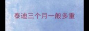 泰迪三个月一般多重