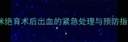 猫咪绝育术后出血的紧急处理与预防指南
