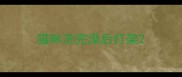 猫咪洗完澡后打架