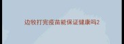 边牧打完疫苗能保证健康吗
