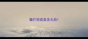 猫打完疫苗多久后