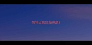 狗狗犬瘟流脓鼻涕