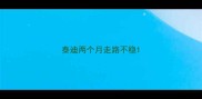 泰迪两个月走路不稳