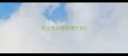 哈士奇萨摩耶哪个好