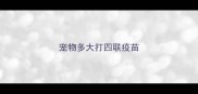 宠物多大打四联疫苗