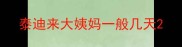 泰迪来大姨妈一般几天