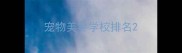 宠物美容学校排名