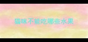 猫咪不能吃哪些水果