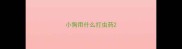 小狗用什么打虫药