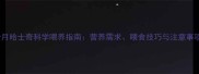 5个月哈士奇科学喂养指南营养需求喂食技巧与注意事项全