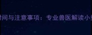 泰迪断尾最佳时间与注意事项专业兽医解读小型犬断尾全流程
