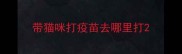 带猫咪打疫苗去哪里打