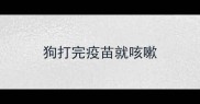 狗打完疫苗就咳嗽