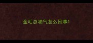 金毛总喘气怎么回事
