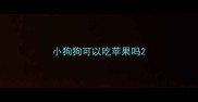 小狗狗可以吃苹果吗