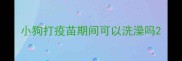 小狗打疫苗期间可以洗澡吗