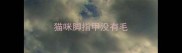 猫咪脚指甲没有毛