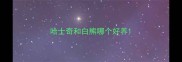 哈士奇和白熊哪个好养