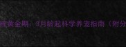 罗威纳犬幼犬训练黄金期3月龄起科学养宠指南附分月龄训练方案