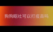 狗狗呕吐可以打疫苗吗
