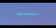 泰迪不肯吃狗粮咋办