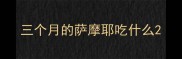 三个月的萨摩耶吃什么