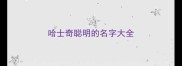 哈士奇聪明的名字大全