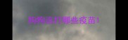 狗狗该打哪些疫苗