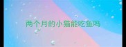 两个月的小猫能吃鱼吗