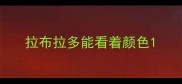 拉布拉多能看着颜色