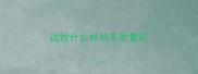 边牧什么样的毛质最好