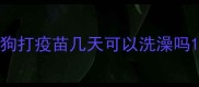 狗打疫苗几天可以洗澡吗
