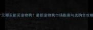 广元哪里能买宠物狗最新宠物狗市场指南与选购全攻略