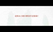 边牧从小到大都没打过疫苗