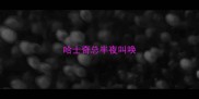 哈士奇总半夜叫唤