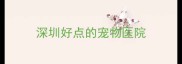 深圳好点的宠物医院