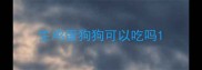 生鸡蛋狗狗可以吃吗