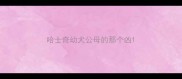 哈士奇幼犬公母的那个凶