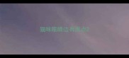 猫咪眼睛边有黑点