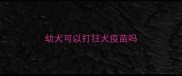 幼犬可以打狂犬疫苗吗