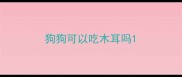 狗狗可以吃木耳吗