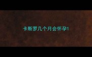 卡斯罗几个月会怀孕