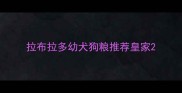 拉布拉多幼犬狗粮推荐皇家