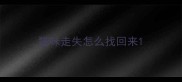 猫咪走失怎么找回来